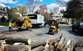 Best Commercial Tree Services  in Cordele, GA